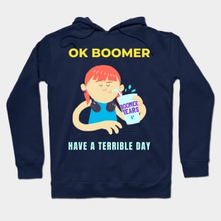 Ok Boomer Have a Terrible Day Hoodie